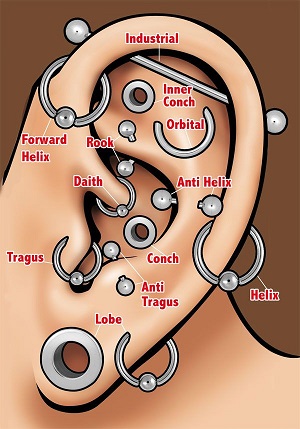 Ohr Piercings Und Piercingschmcuk In Mendig Mayen Andernach